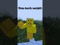 How much weight can a minecraft player carry?
