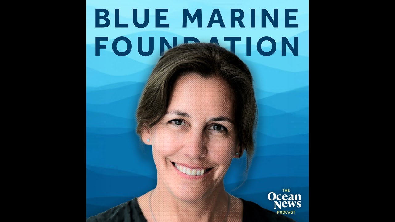 How Much Will It Cost to SAVE Our Oceans - The Ocean News Podcast