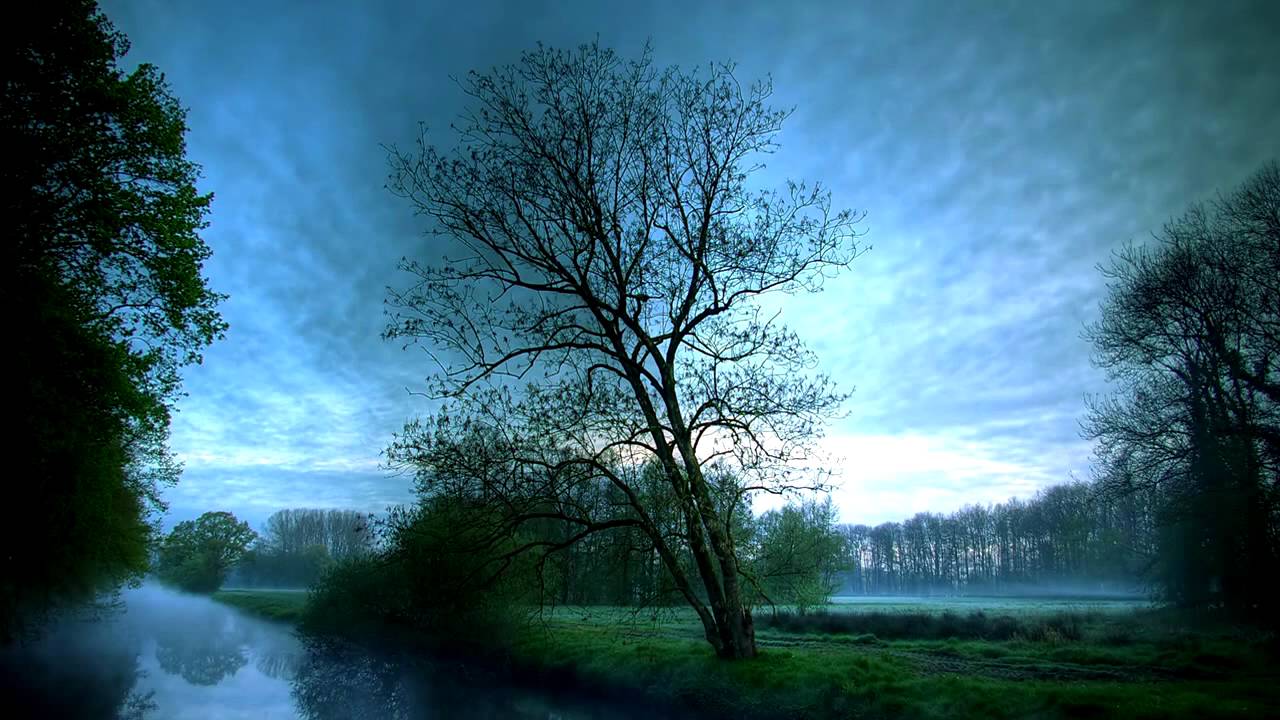 D1 feat. Jenna G - Flood of Emotions (Subscape Remix)