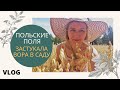 Сразу забыла  обо всём! Мой источник энергии. Застукала Воришку в моём саду.  Жизнь в Польше