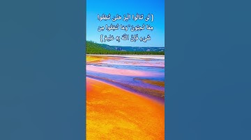 لن تنالو البر حتى تنفقوا القرأن الكريم أجمل التلاوات