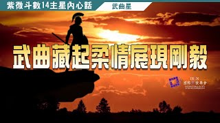 讀懂十四主星的心裡話 | 武曲藏起柔情展現剛毅►國際紫微學會&大耕老師◄簡單上手斗數命盤