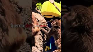 Invaden recinto de Punch | Paola Rojas