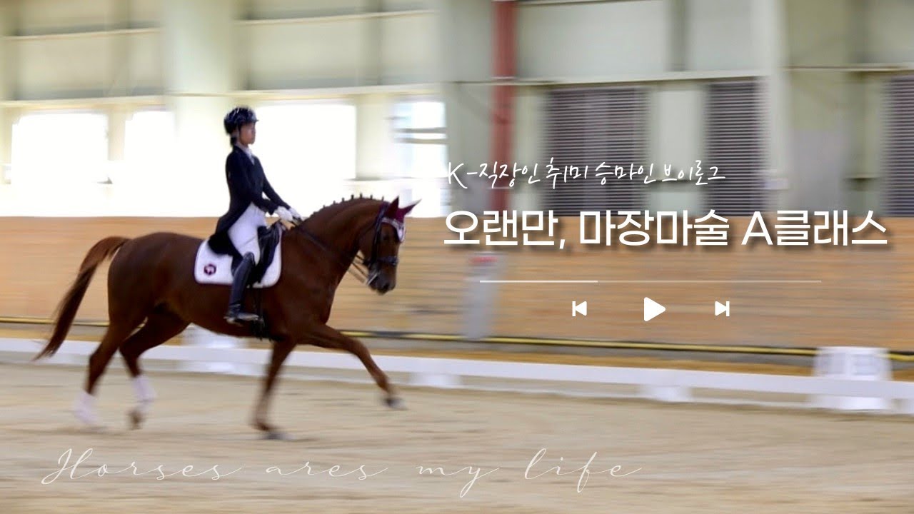 [승마 VLOG] K-직장인 승마대회 출전,  초떨림 오랜만 마장마술 A-class ㅣ ep3