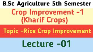 B.Sc Agriculture 5th Semester|Crop Improvement-1(kharifcrops )|Important topic Rice Crop Lecture-01