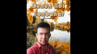 Gürsel İleri - Bunun Adı Sonbahar