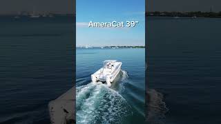 Day 4 of 30 | AmeraCat 39 Still Available $455K | Miami Power Cat For Sale