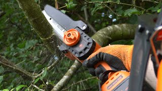 Compact and Versatile! Forest Master 20V 6 Cordless Mini Chainsaw