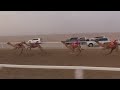 الشوط 11 شواهين للسيد عوض عبدالله مبارك المزروعي توقيت 2 19 94 الشوط 11 شواهين للسيد عوض عبدالله مبارك المزروعي توقيت 2 19 94