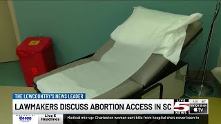 VIDEO: What defines a heartbeat? Judge hears arguments in South Carolina abortion case