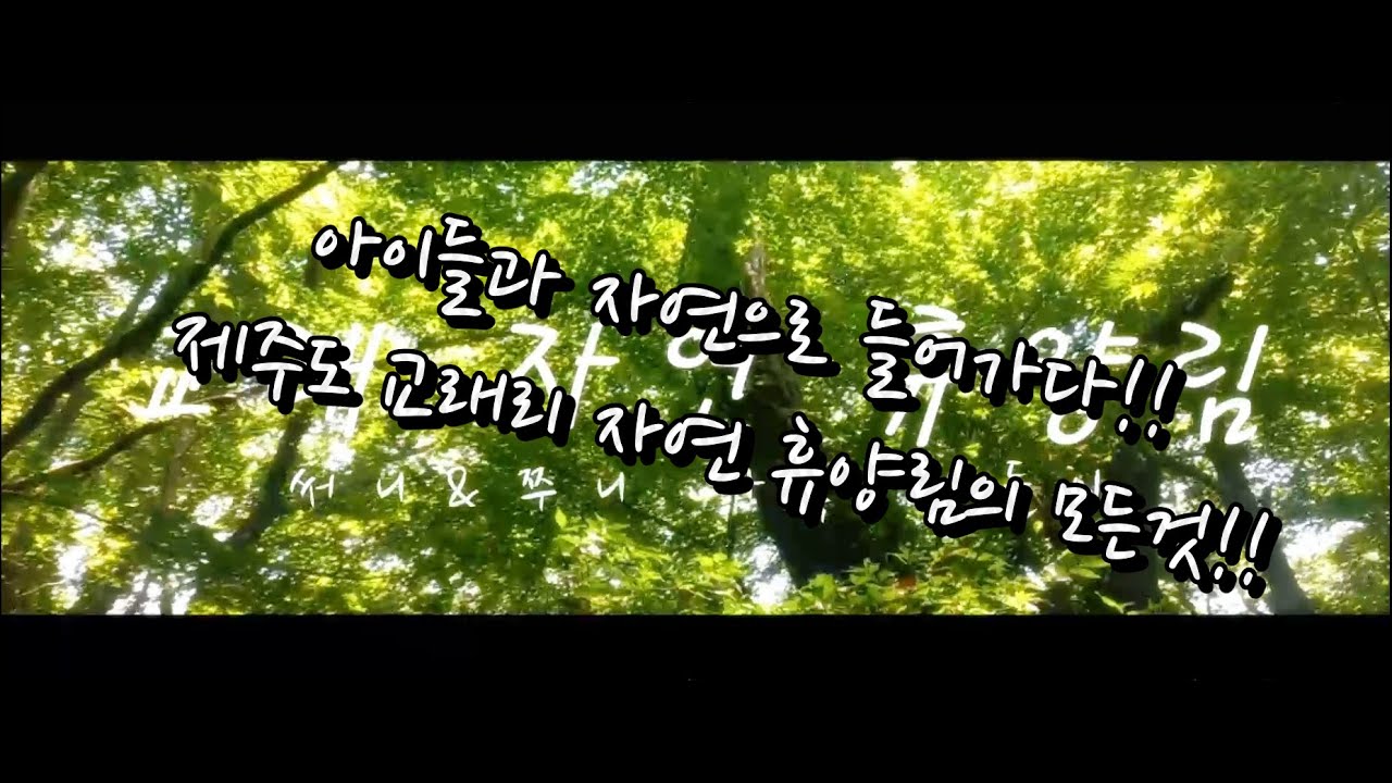 제주도 오면 아이들과 함께하는 필수 코스!!, 제주 교래 자연 휴양림의 모든것!!, 제주도 아이들과의 여행, [제주 교래 자연휴양림]