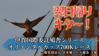2024年度「伊賀オリエンタルカップ700K」ライブ配信！（アーカイブ