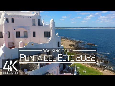 Video: Punta Del Este, St. Tropez của Uruguay