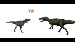megaraptor vs aucasaurus