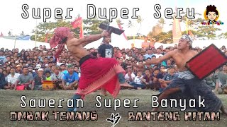 Ombak Tenang Vs Banteng Hitam Jempong || Peresean Janapria 2019