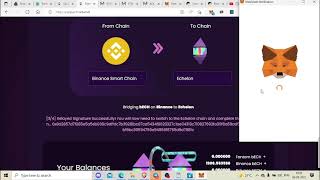 How to buy your first Defi token on the Echelon - All the necessary steps