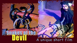 Never trust anyone blindly- A short film #puppets #marionettes