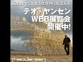 「テオ・ヤンセンWEB展覧会」期間限定で開催中！
