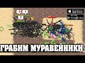 Грабим Муравейники - Pocket Ants: Симулятор Колонии