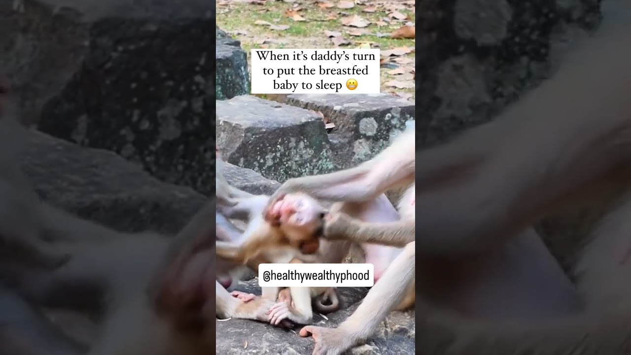 Postpartum Nutrition Tips for New Moms | Healing Meal Plan to Boost Energy & Milk Supply