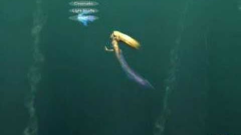 nVidia Demo : Nalu : GeForce 8600M GT