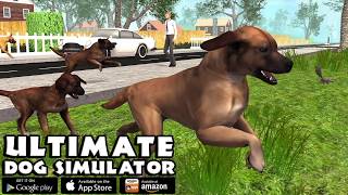 Rottweiler VS Bear, Wolf, Ultimate Dog Simulator screenshot 5