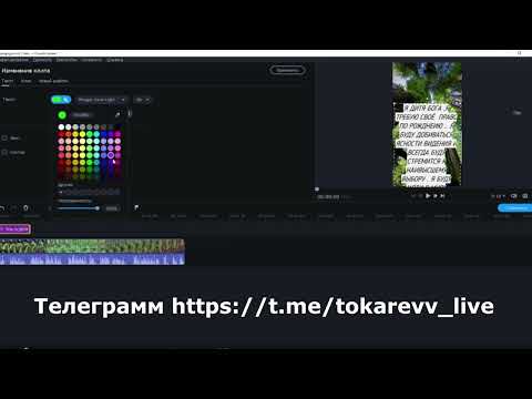Видео урок как делать Шортс с текстом для ютуба Movavi Video Editor Plus