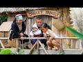 Dwarf Family Survival Life - Harvest wild banana &amp; build  temporary shelter under the cliff - Part 1