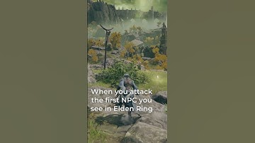 When You Attack the First NPC You See in Elden Ring