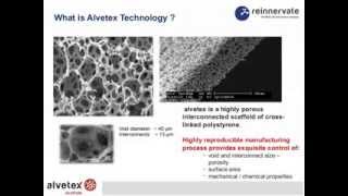 Evaluating 3D Cell Culture: A Beginners Guide
