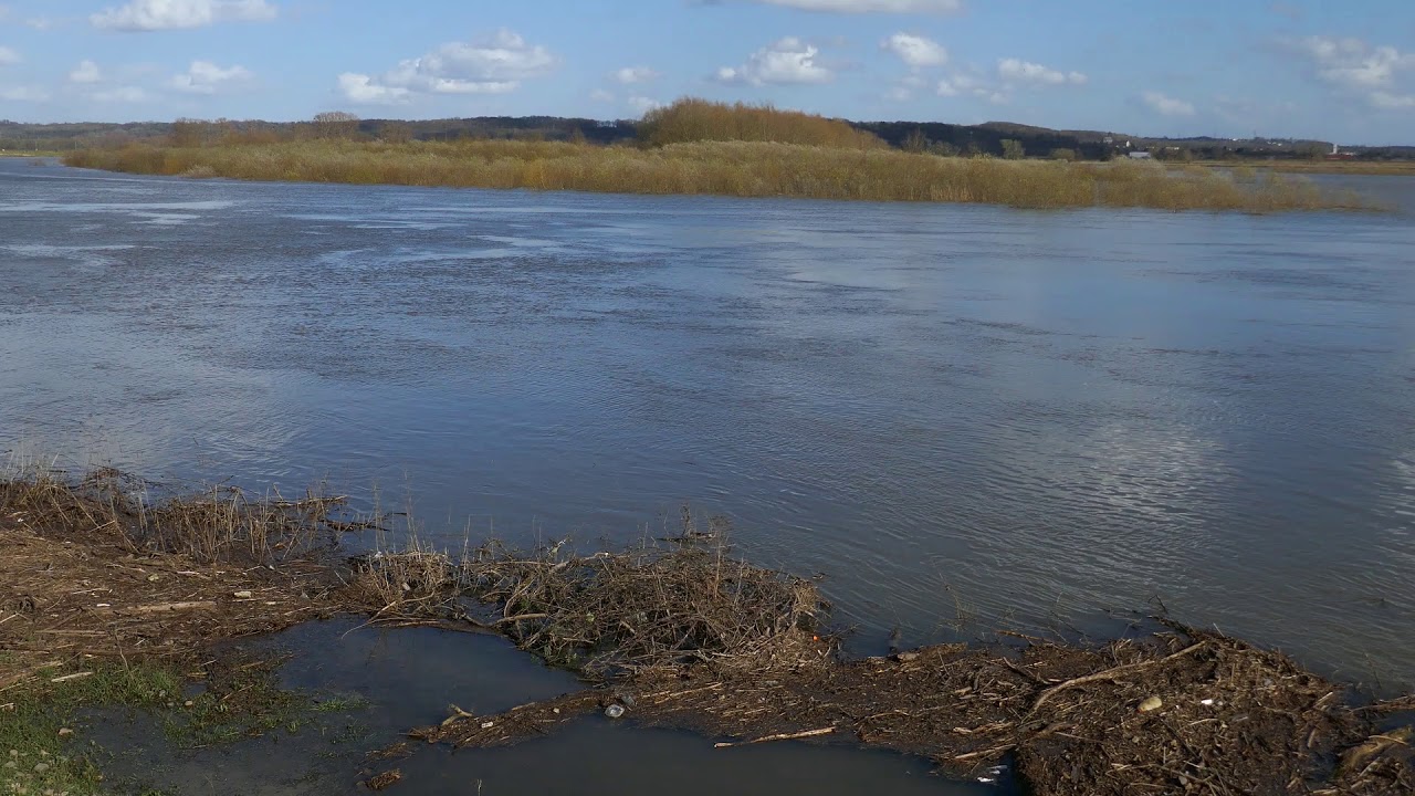 Hoge waterstand van de Maas in Lanaken 2020 - YouTube