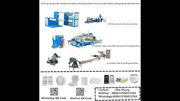 PS foam dish thermoforming machine , Ellie