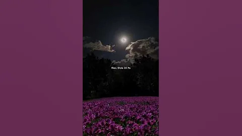 Mere Dholna 3.0 | Sonu Nigam | #bhulbhulaiyaa3 #shorts #viralshort #trending