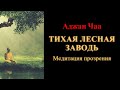 Аджан Чаа. Тихая лесная заводь. Медитация прозрения