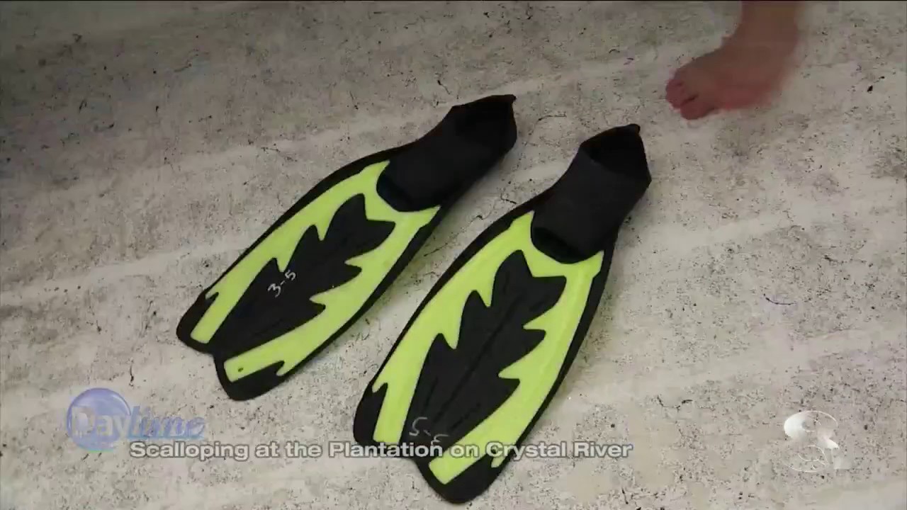 Cyndi Edwards tries scalloping on Crystal River in Florida