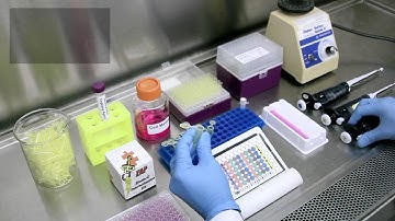 5 - Preparing Controls-Ab