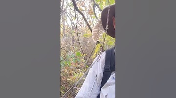 Geocache Replacement! Camouflaged for High Muggle Area! 😀 #geocaching #geocache #geocachingvlogger