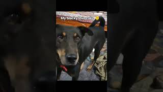 Are Better Than Human Beings