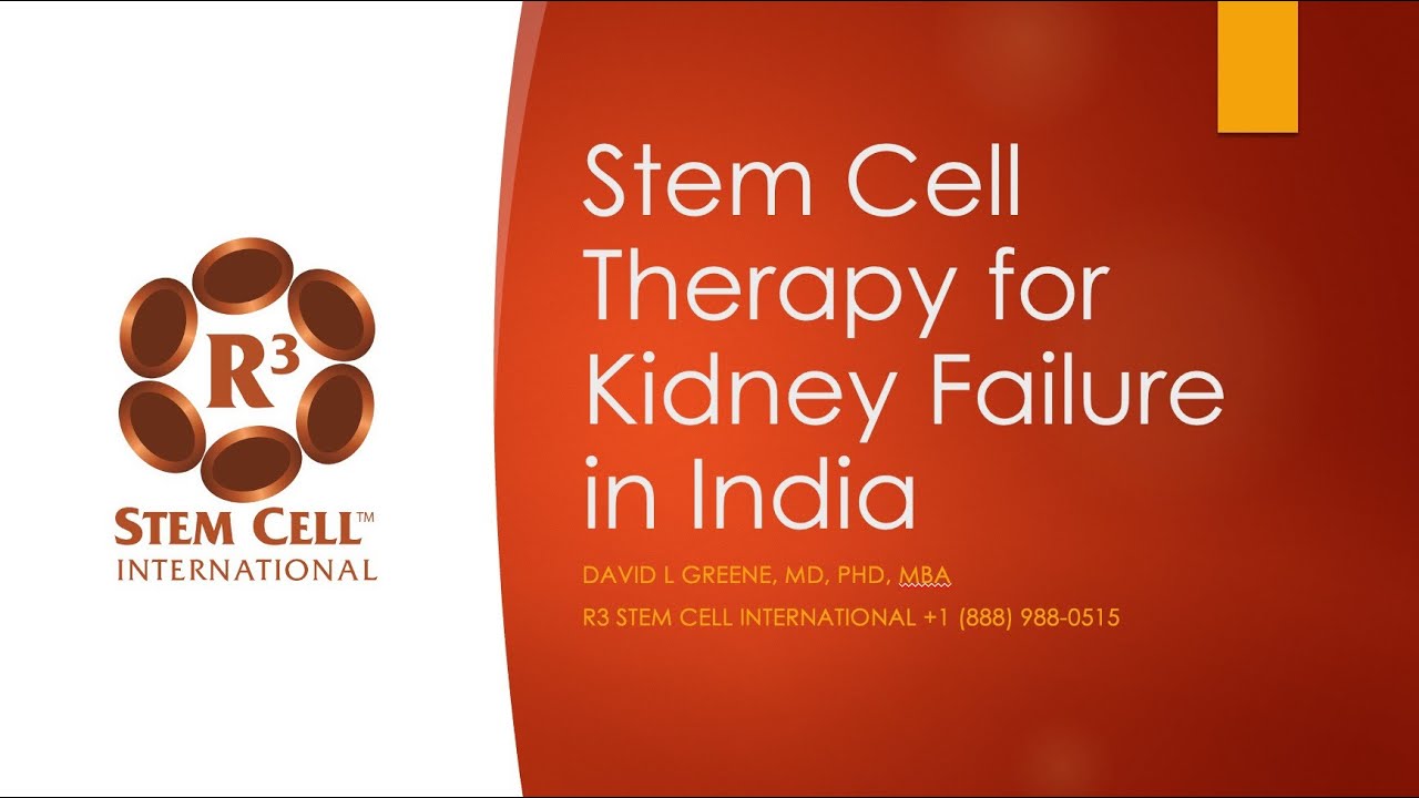Advanced Stem Cell Therapy for Kidney Failure in India | New Delhi ...