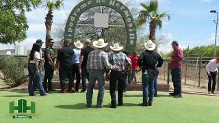 Carreras de Caballos 19 de Marzo 2023 en el Hipódromo de Hermosillo