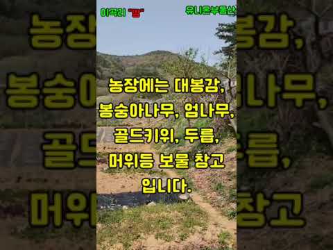 부산 기장군 철마면 이곡마을 토지를 소개합니다. #전원주택 #촌집#기장부동산#체류형쉼터#서생땅#기장땅#세컨하우스 #기장주말농장텃밭#기장땅투자#부산근교나들이 #부동산재테크