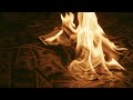 Money Burning On Fire 
