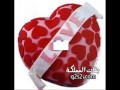 بنحبها يا ئلبي ــ تامر عاشور