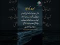 محبت کی انتہا: خالق اور مخلوق کی محبت میں فرق