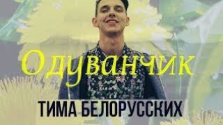 Тима Белорусских - Одуванчик [Remix]