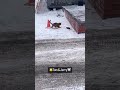 リアルトムとジェリー