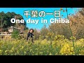 小湊鉄道の旅：外国人はなぜ日本の田舎が好きなのか？