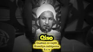 #sheekh_xuseen_cali_jabuuti muxaadaro#qisooyin# faafi_kheyrka_wll_alle_darti #wacdi iyo waano #duet