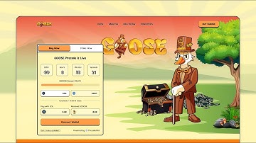 Meme coin website | UI/UX Design and Development with NexUX Lab