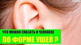 Что можно сказать о человеке по форме его ушей?